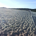 2009_LV_LT_SV_D 066